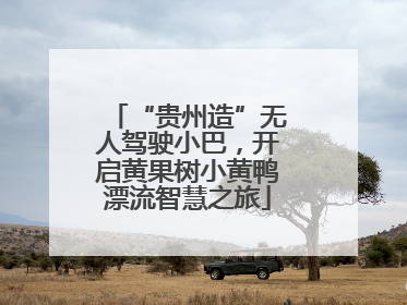 “贵州造”无人驾驶小巴，开启黄果树小黄鸭漂流智慧之旅
