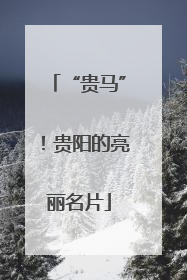 “贵马”！贵阳的亮丽名片