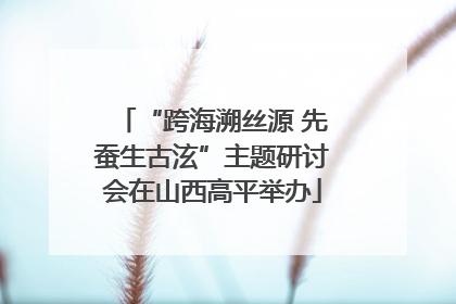 “跨海溯丝源 先蚕生古泫”主题研讨会在山西高平举办