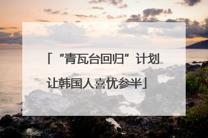 “青瓦台回归”计划让韩国人喜忧参半