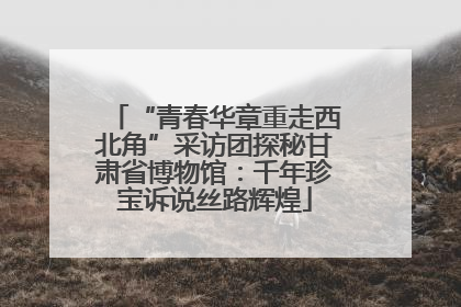 “青春华章重走西北角”采访团探秘甘肃省博物馆：千年珍宝诉说丝路辉煌