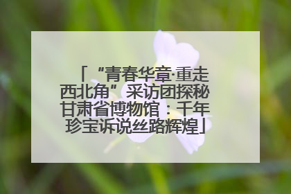 “青春华章·重走西北角”采访团探秘甘肃省博物馆：千年珍宝诉说丝路辉煌