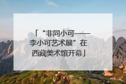 “非同小可——李小可艺术展”在西藏美术馆开幕