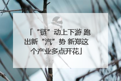 “链”动上下游 跑出新“汽”势 新郑这个产业多点开花