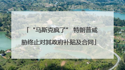“马斯克疯了” 特朗普威胁终止对其政府补贴及合同