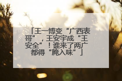 王一博变“广西表哥”，王安宇成“王安全”！谁来了两广都得“腌入味”