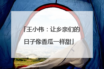 王小伟：让乡亲们的日子像香瓜一样甜