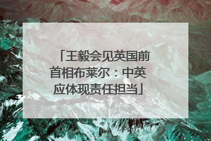 王毅会见英国前首相布莱尔：中英应体现责任担当
