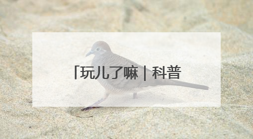 玩儿了嘛｜科普游园会收官啦！园林+科技狂欢你打卡了吗？