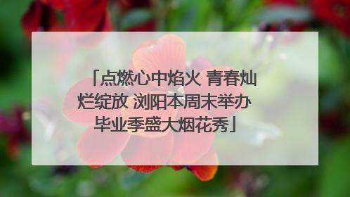 点燃心中焰火 青春灿烂绽放 浏阳本周末举办毕业季盛大烟花秀