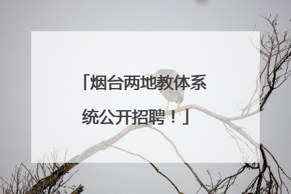 烟台两地教体系统公开招聘！