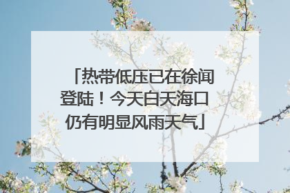 热带低压已在徐闻登陆！今天白天海口仍有明显风雨天气