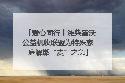 爱心同行丨潍柴雷沃公益机收联盟为特殊家庭解燃“麦”之急