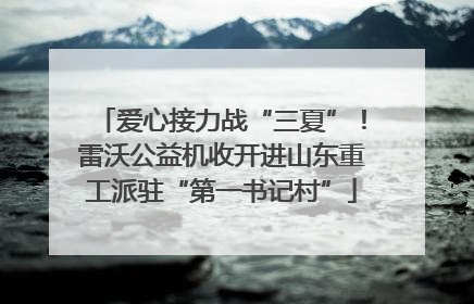 爱心接力战“三夏”！雷沃公益机收开进山东重工派驻“第一书记村”