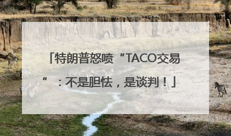 特朗普怒喷“TACO交易”：不是胆怯，是谈判！