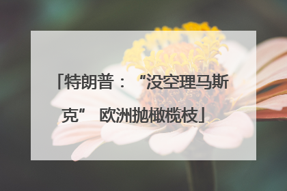 特朗普：“没空理马斯克” 欧洲抛橄榄枝