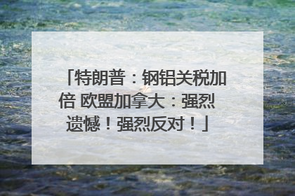 特朗普：钢铝关税加倍 欧盟加拿大：强烈遗憾！强烈反对！