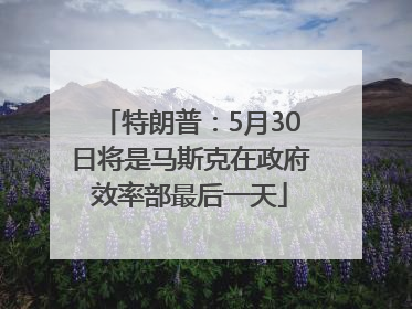 特朗普：5月30日将是马斯克在政府效率部最后一天