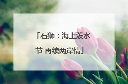 石狮：海上泼水节 再续两岸情