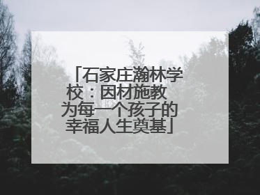 石家庄瀚林学校：因材施教 为每一个孩子的幸福人生奠基