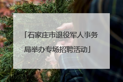 石家庄市退役军人事务局举办专场招聘活动