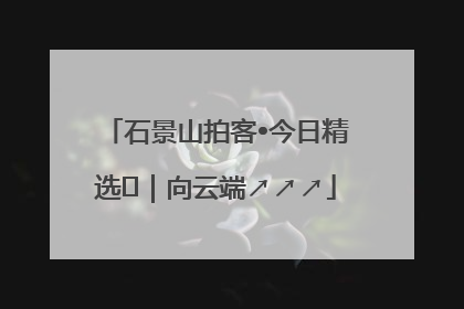 石景山拍客•今日精选⑳｜向云端↗↗↗