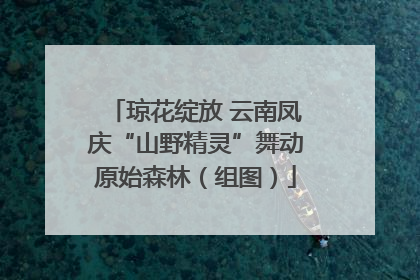 琼花绽放 云南凤庆“山野精灵”舞动原始森林（组图）
