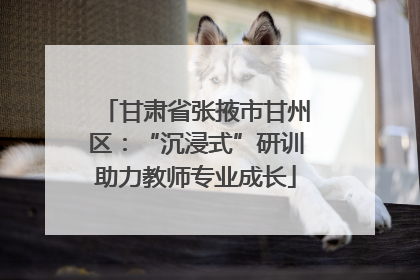 甘肃省张掖市甘州区：“沉浸式”研训助力教师专业成长