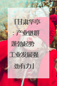 甘肃华亭：产业链群蓬勃起势 工业发展强劲有力