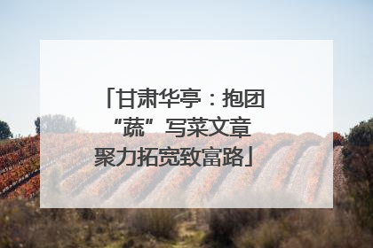 甘肃华亭：抱团“蔬”写菜文章 聚力拓宽致富路