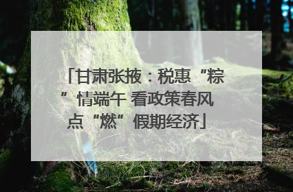 甘肃张掖：税惠“粽”情端午 看政策春风点“燃”假期经济