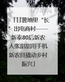 甘薯地里“长”出电商村——新泰80后新农人张甜甜用手机新农具撬动乡村振兴