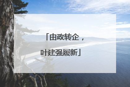 由政转企，叶建强履新