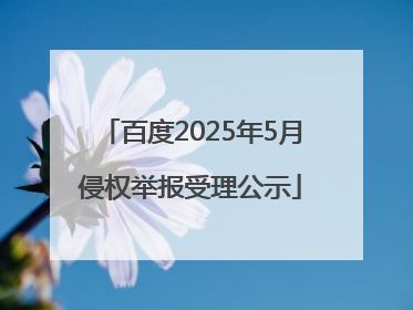 百度2025年5月侵权举报受理公示