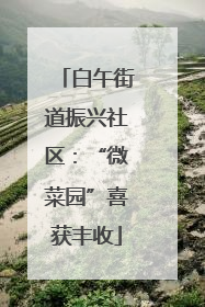 白午街道振兴社区：“微菜园”喜获丰收