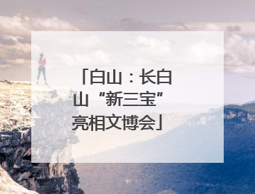 白山：长白山“新三宝”亮相文博会