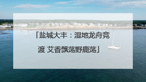 盐城大丰：湿地龙舟竞渡 艾香飘荡野鹿荡