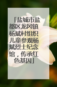 盐城市盐都区龙冈镇杨斌村组织儿童参观杨斌烈士纪念馆，传承红色基因