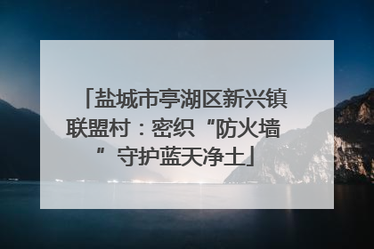 盐城市亭湖区新兴镇联盟村：密织“防火墙”守护蓝天净土