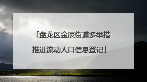 盘龙区金辰街道多举措推进流动人口信息登记
