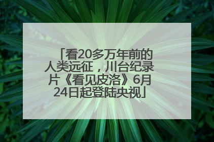 看20多万年前的人类远征，川台纪录片《看见皮洛》6月24日起登陆央视