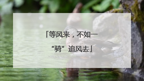 等风来，不如一“骑”追风去