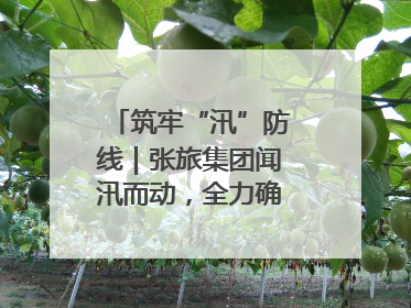 筑牢“汛”防线｜张旅集团闻汛而动，全力确保安全度汛