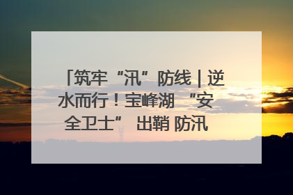 筑牢“汛”防线｜逆水而行！宝峰湖 “安全卫士” 出鞘 防汛应急再添硬核力量