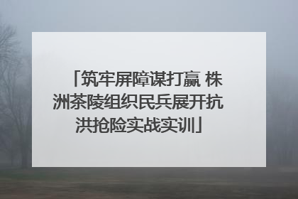 筑牢屏障谋打赢 株洲茶陵组织民兵展开抗洪抢险实战实训