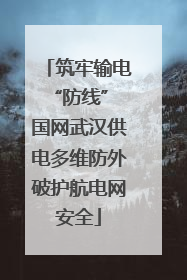 筑牢输电“防线” 国网武汉供电多维防外破护航电网安全