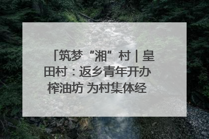 筑梦“湘”村｜皇田村：返乡青年开办榨油坊 为村集体经济“加油”