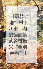 筑梦“湘”村｜江永：肉鸽振翅绘就乡村振兴“金羽画卷”