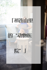 祁连山里的“动物医院”