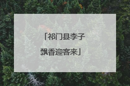 祁门县李子飘香迎客来